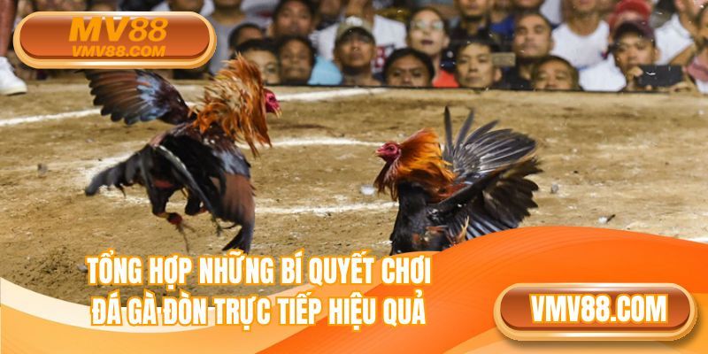 Chia sẻ những bí kíp cực đỉnh từ chuyên gia MV88