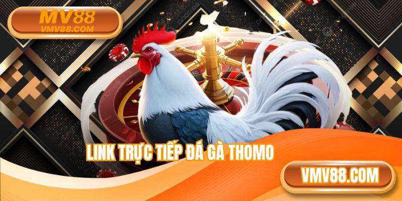 Link Trực Tiếp Đá Gà Thomo - Cơ Hội Khám Phá Trận So Tài