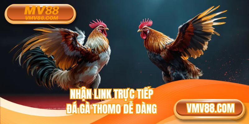 Nhận link trực tiếp đá gà Thomo dễ dàng