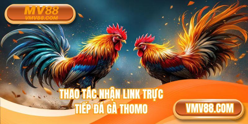 Thao tác nhận link trực tiếp đá gà Thomo