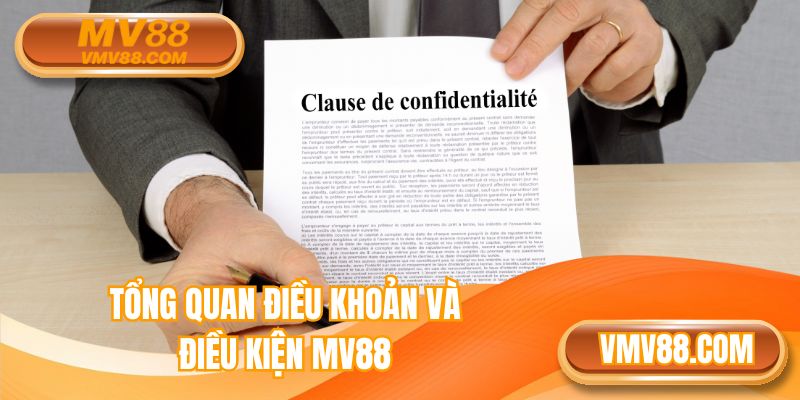 Tổng quan điều khoản và điều kiện MV88
